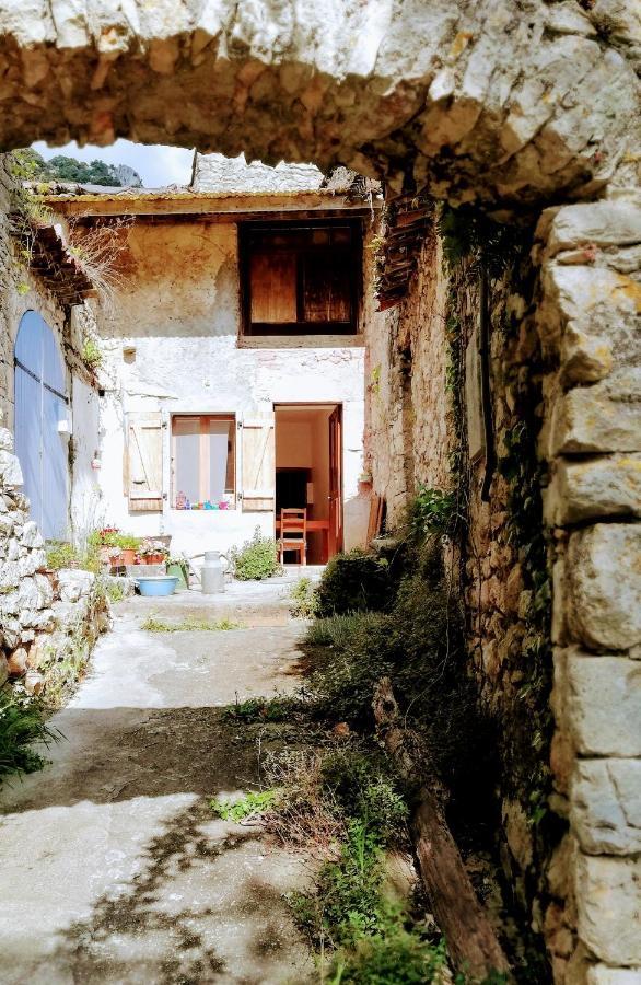Des Gorges De L'ardeche Chame
